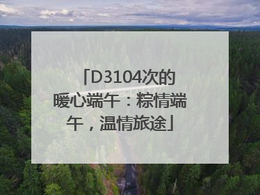 D3104次的暖心端午：粽情端午，温情旅途