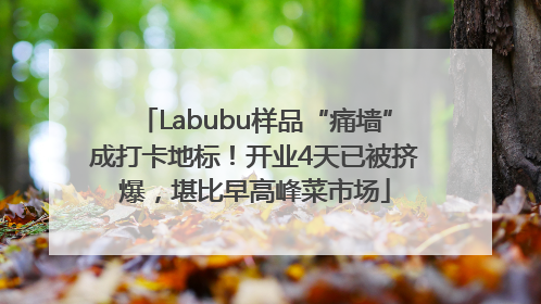 Labubu样品“痛墙”成打卡地标！开业4天已被挤爆，堪比早高峰菜市场